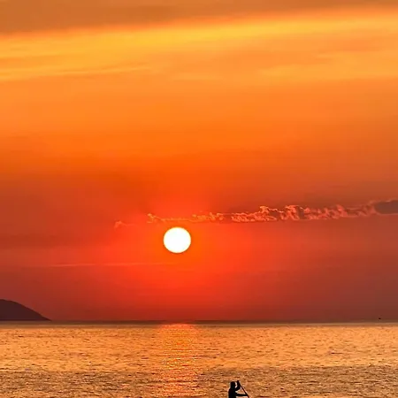 Azure Sea View Escape فلورا
